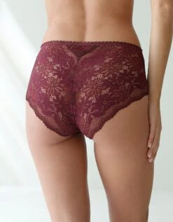 Culotte Forme Maxi Microfibre Et Dentelle Stretch - Lot De 2 -Élégance Nuit Soldes Boutique 700485 C01 zoomx vue6