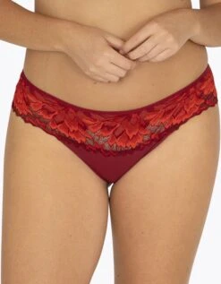 Well Culotte Midi Dentellissime